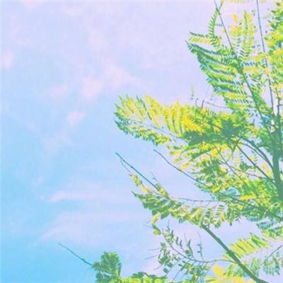 我们的沙城百度手游下载