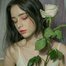 欢乐魏蜀吴4399官方下载